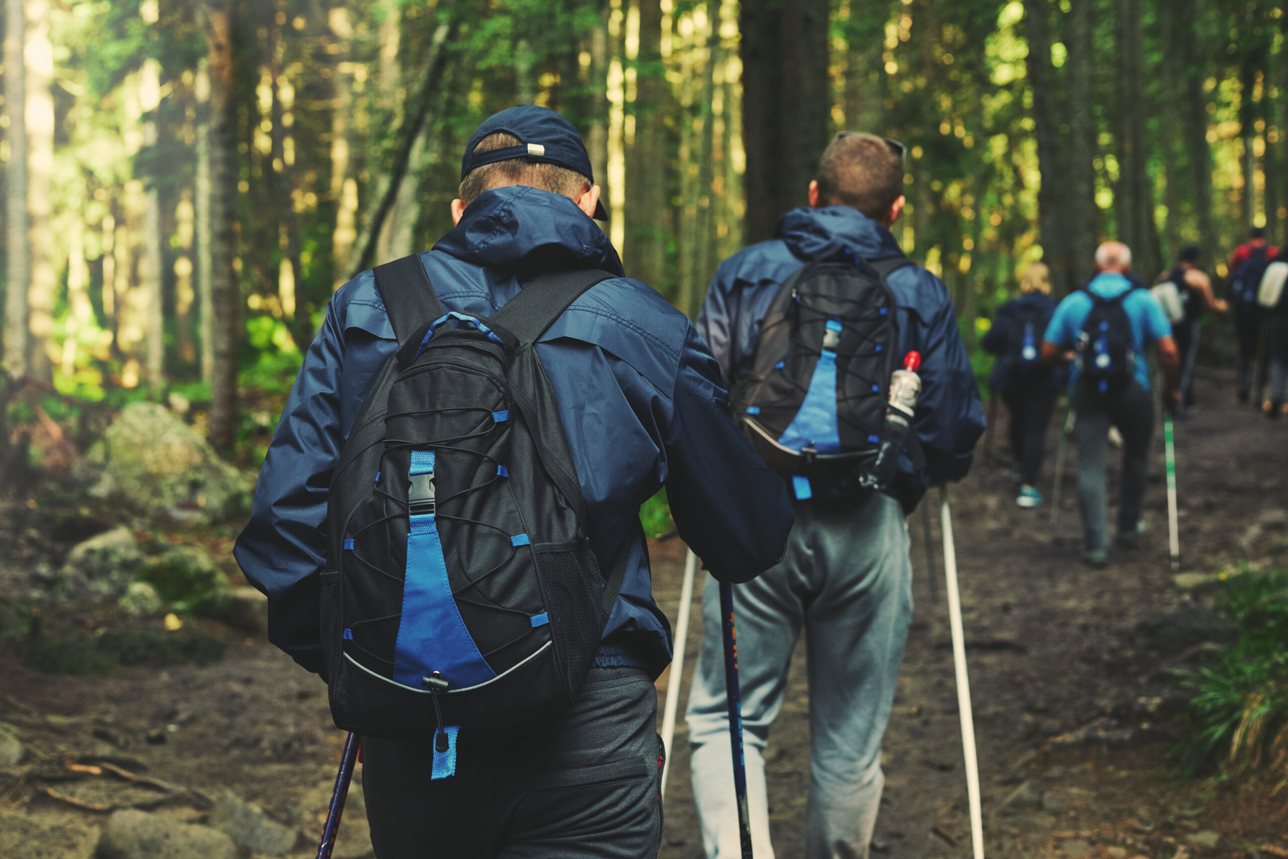 hikers on the trail in the forest